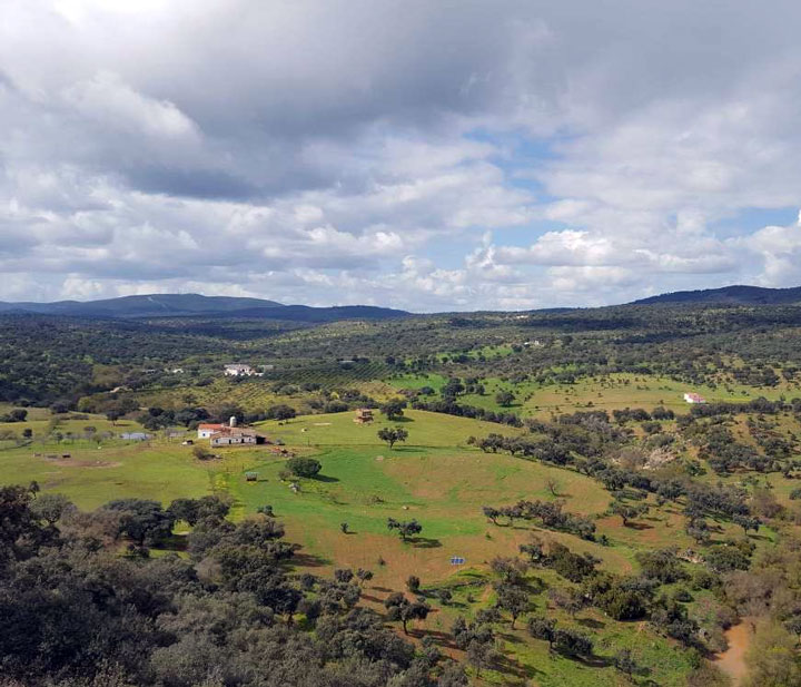 imagen-las-fincas